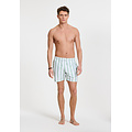 Shiwi Shiwi Men's Swim Short Broad Stripe Light Green/White