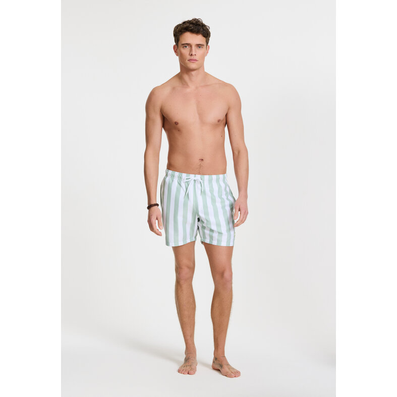 Shiwi Shiwi Men's Swim Short Broad Stripe Light Green/White