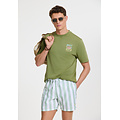 Shiwi Shiwi Men's Swim Short Broad Stripe Light Green/White
