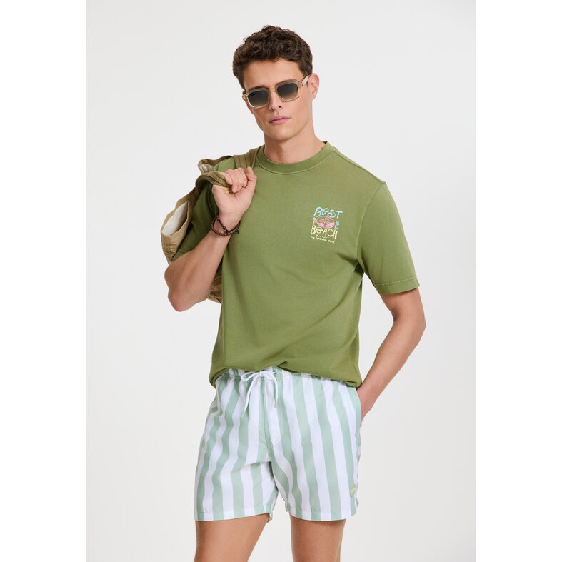 Shiwi Shiwi Men's Swim Short Broad Stripe Light Green/White