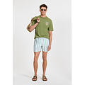 Shiwi Shiwi Heren Zwemshort Broad Stripe Lichtgroen/Wit