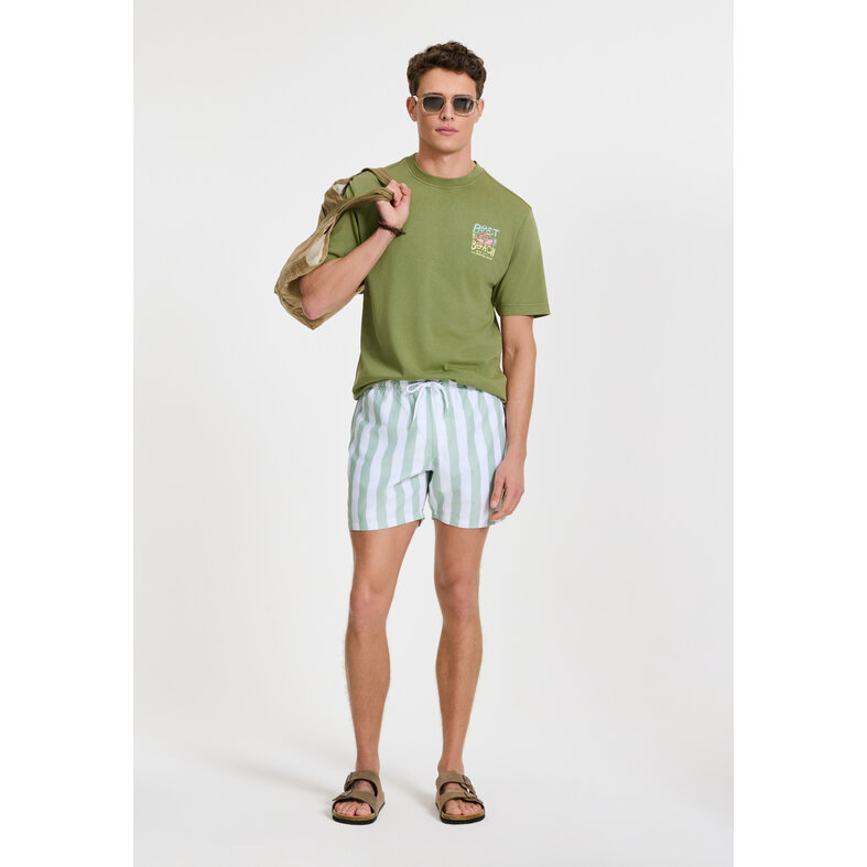 Shiwi Shiwi Men's Swim Short Broad Stripe Light Green/White