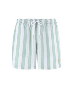 Shiwi Men's Swim Short Broad Stripe Light Green/White