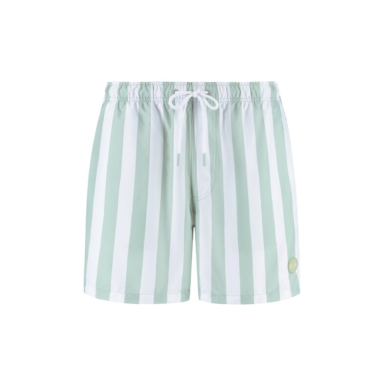 Shiwi Shiwi Men's Swim Short Broad Stripe Light Green/White