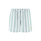 Shiwi Shiwi Heren Zwemshort Broad Stripe Lichtgroen/Wit