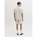 Jack & Jones Jack & Jones Heren Blouse JJECOBA Korte Mouw Wit Gestreept
