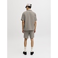 Jack & Jones Jack & Jones Heren Blouse & Shorts Co-ord Set JORNANTUCKET Effen Taupe