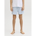 Jack & Jones Junior Jack & Jones Junior Boys Swim Short JPSTMAUI WAVE Logo Light Blue