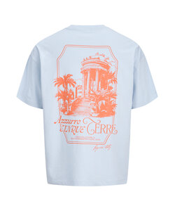 Jack & Jones Men's Backprint T-Shirt JORCOTEDAZUR Light Blue/Orange