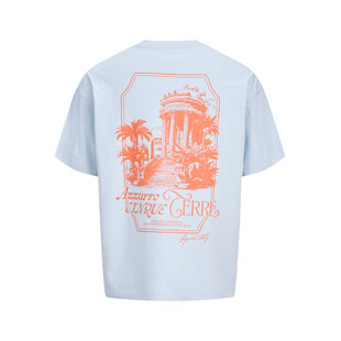 Jack & Jones Men's Backprint T-Shirt JORCOTEDAZUR Light Blue/Orange
