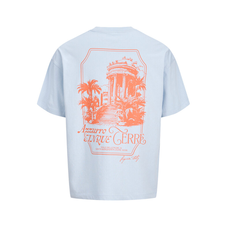 Jack & Jones Jack & Jones Men's Backprint T-Shirt JORCOTEDAZUR Light Blue/Orange