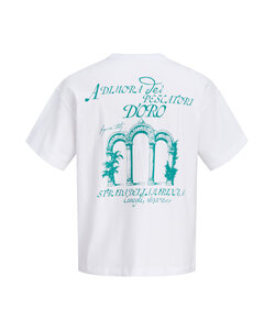 Jack & Jones Men's Backprint T-Shirt JORCOTEDAZUR White/Turquoise