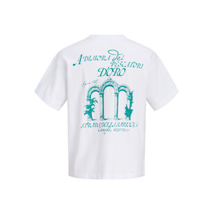 Jack & Jones Heren Backprint T-Shirt JORCOTEDAZUR Wit/Turquoise