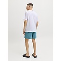Jack & Jones Jack & Jones Heren Zwemshort JPSTMAUI Splash Magic Groen/Blauw