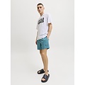 Jack & Jones Jack & Jones Men's Swim Short JPSTMAUI Splash Magic Green/Blue