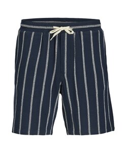 Jack & Jones Men's Shorts JPSTJAIDEN Woven Jogging Short Dark Blue Striped