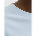 Jack & Jones Jack & Jones Men's Chrome Backprint T-Shirt JCOBIARRITZ Light Blue