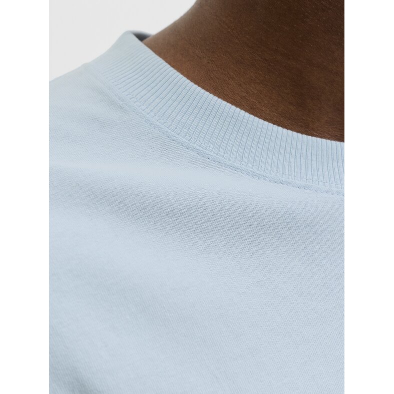 Jack & Jones Jack & Jones Men's Chrome Backprint T-Shirt JCOBIARRITZ Light Blue
