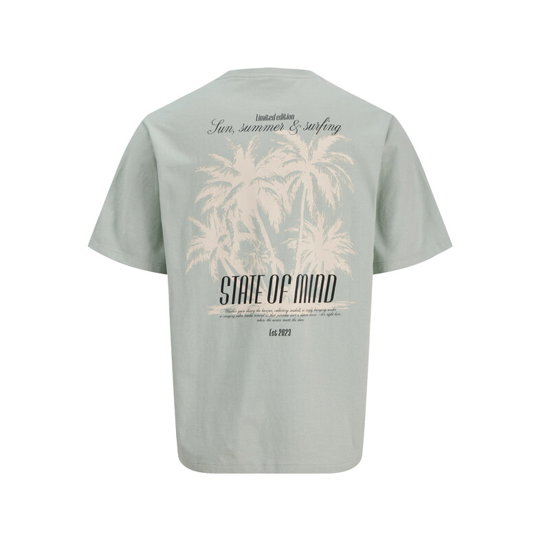 Jack & Jones JJ REBEL Heren Backprint T-shirt JREBCHRISTIAN Grijs