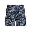 Jack & Jones Jack & Jones Heren Plus Size Zwemshort JPSTMAUI SHELL Geblokt/Gebloemd Donkerblauw/Wit