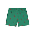 Shiwi Shiwi Jongens Zwemshort MILO 4" Kreeft Print Groen/Rood