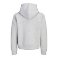 Jack & Jones Jack & Jones Heren Hoodie Met Rits JCOLEGACY Effen Grijs