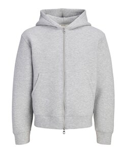 Jack & Jones Heren Hoodie Met Rits JCOLEGACY Effen Grijs