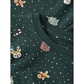 Name It Name It Jongens/Meisjes Kinder Kerst Pyjama Set NMNVISMAS Groen