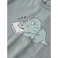 Name It Name It Jongens Lange Pyjama Set NMMRYNDQ Turquoise Dinosaurus Print/Gestreept