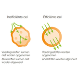 Tre-en-en - Volgranenconcentraat (glutenvrij)