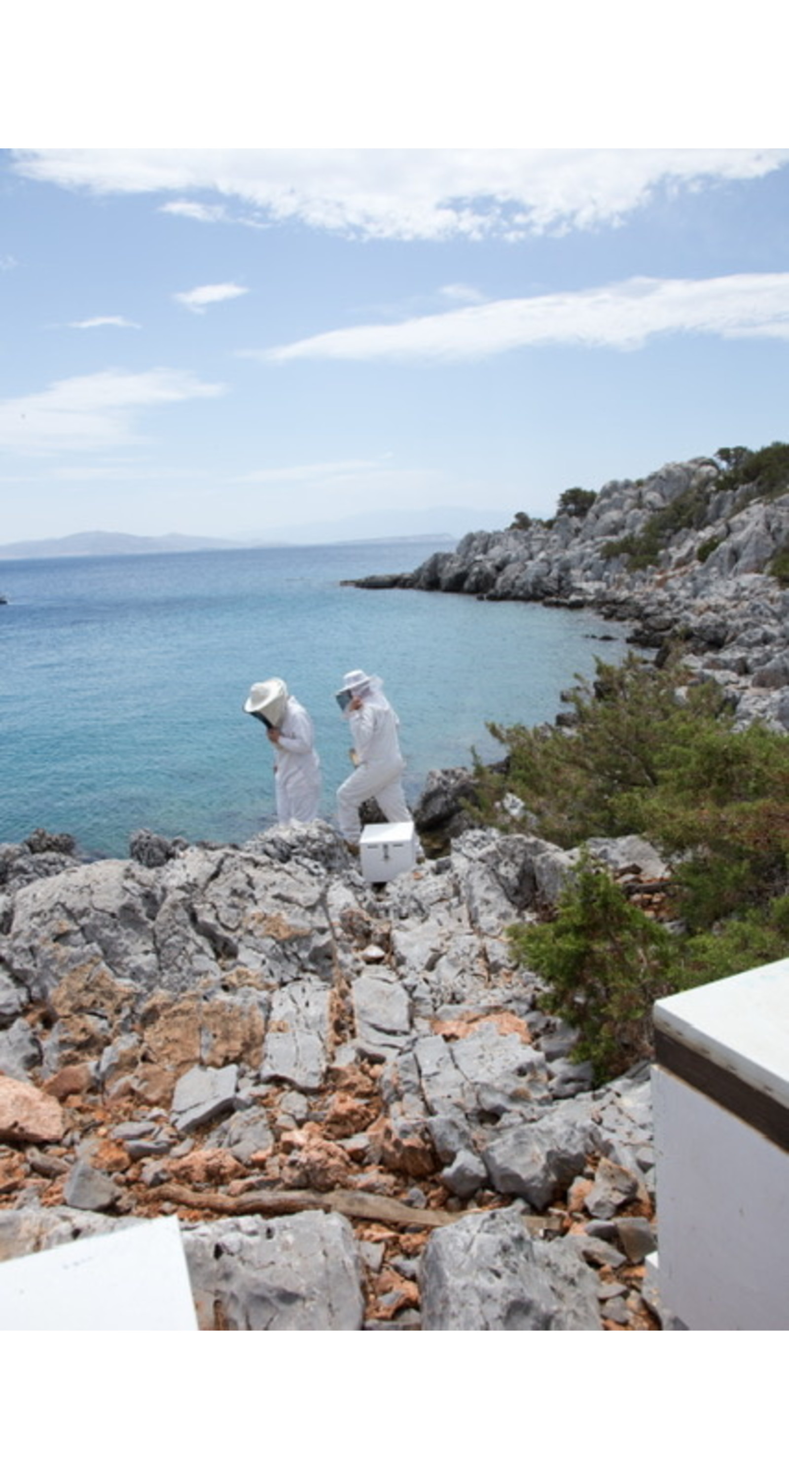 Familie Kopanezos Griekse Tijmhoning uit Kalymnos in glazen pot 450 gram