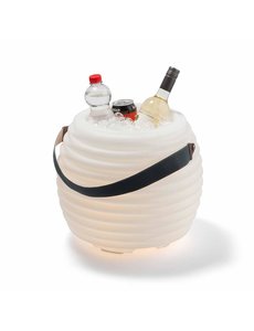 Coollux Coollux 1616-WH - Koelbox met Bluetooth speaker en LED verlichting