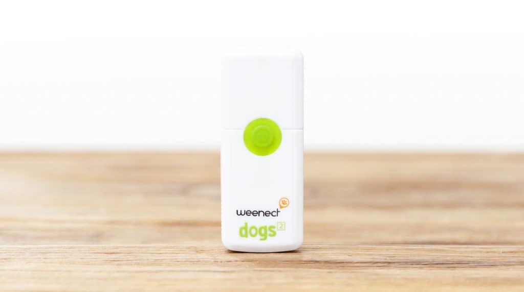 COLLIER GPS POUR CHIEN