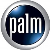 Palm Palm