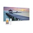 Quality Heating Byecold Panel infrarrojo de vidrio impreso con wifi y mando a distancia muelle 119x59 700Watt
