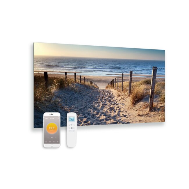 Quality Heating Byecold Panel infrarrojo de vidrio impreso con wifi y control remoto dunas 100x59 580Watt