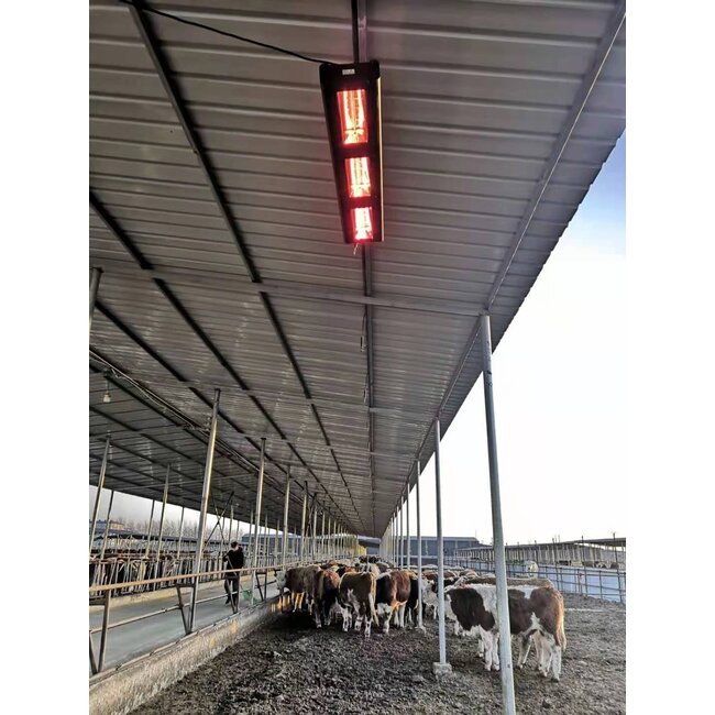 Quality Heating Calefactor infrarrojo QH-PRO de 6000 vatios para calefacción de cobertizos y tiendas