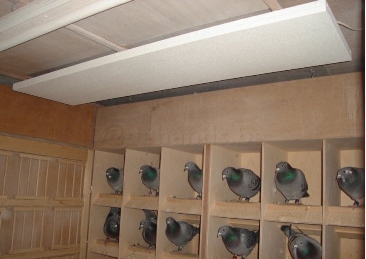 Calefactor para animales: calor eficiente y cómodo para sus mascotas