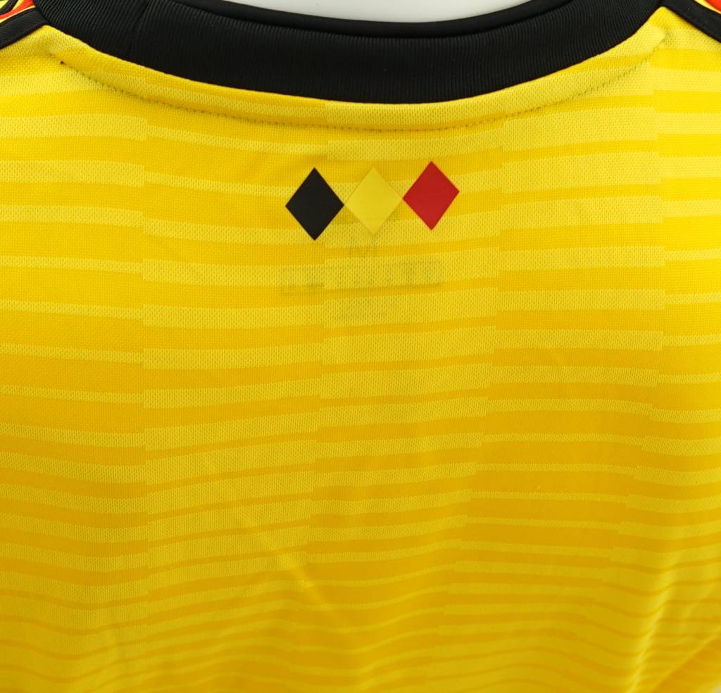 Maillot Diables Rouges Coupe du Monde 2018 - (Vareuse Jaune)