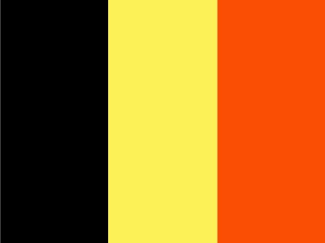 Belgische  vlag  (200 x 150 cm)