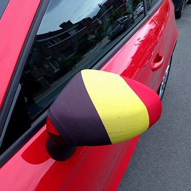 Wing mirror covers (x2)