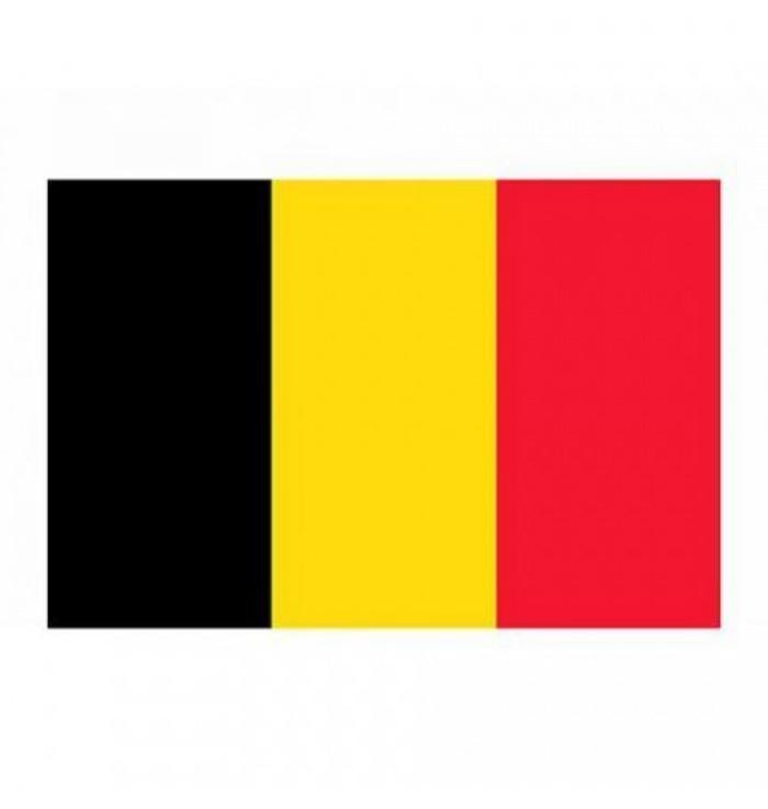 Belgian flag  (100 x 60 cm)