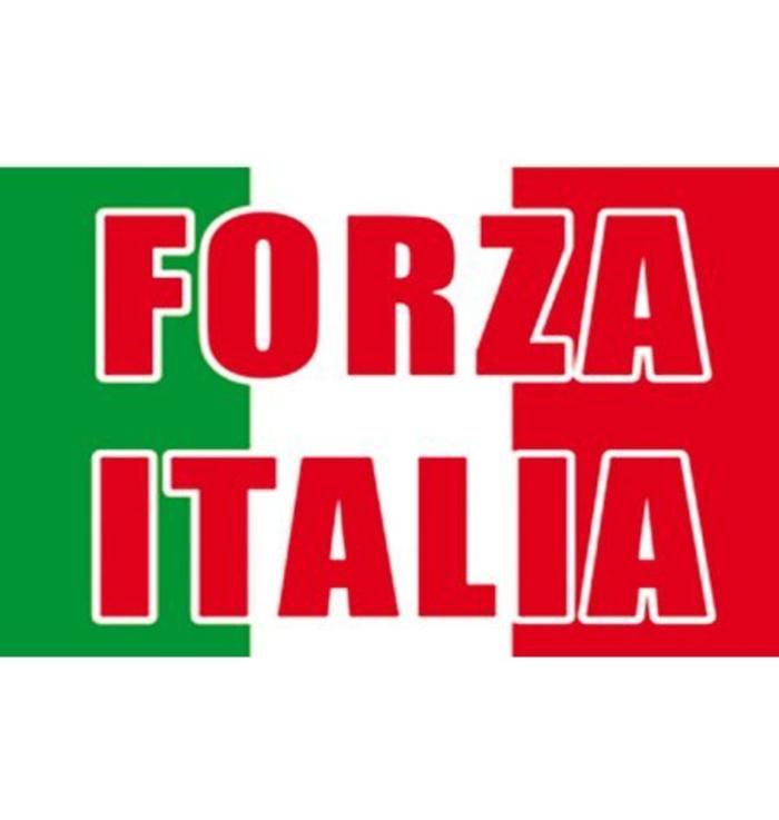 Drapeau Forza Italia