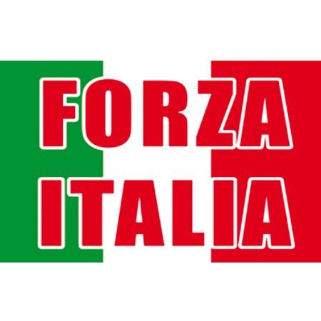 Vlag Forza Italia
