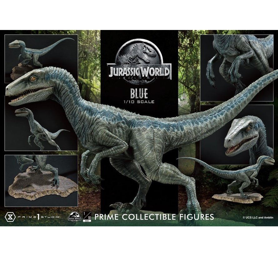Jurassic World Fallen Kingdom Prime Collectibles Statue 1 10 Blue Open Mouth Version 17 Cm Sankta Collectibles