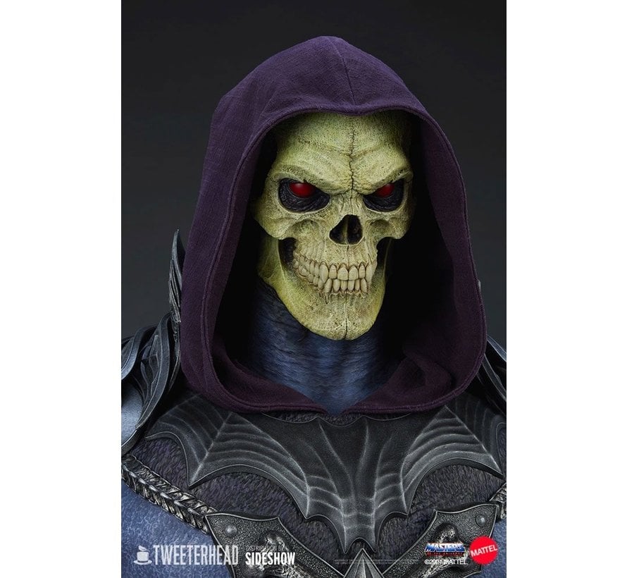 skeletor bust