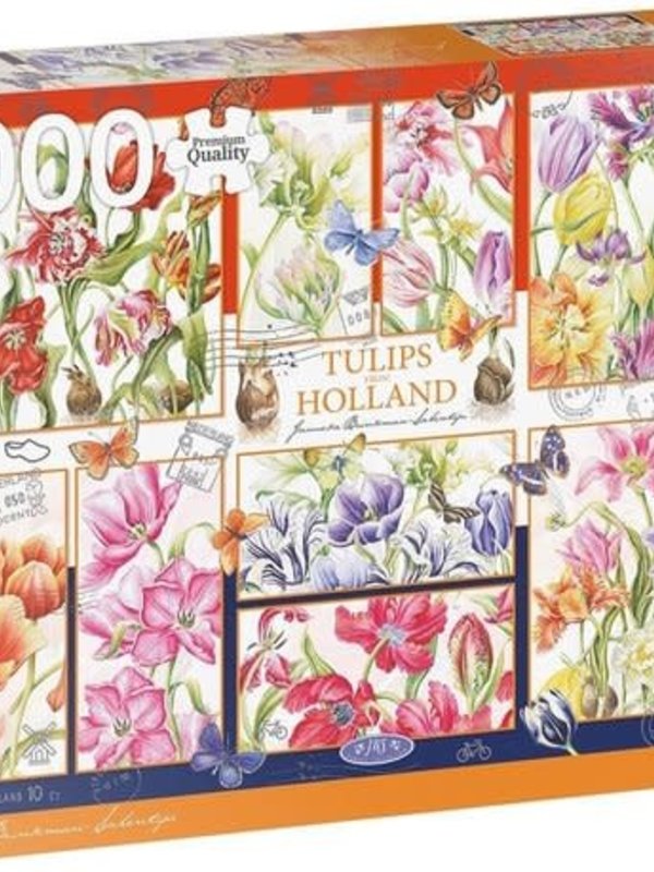 Jumbo Puzzel 1000st. Nederlandse Tulpen