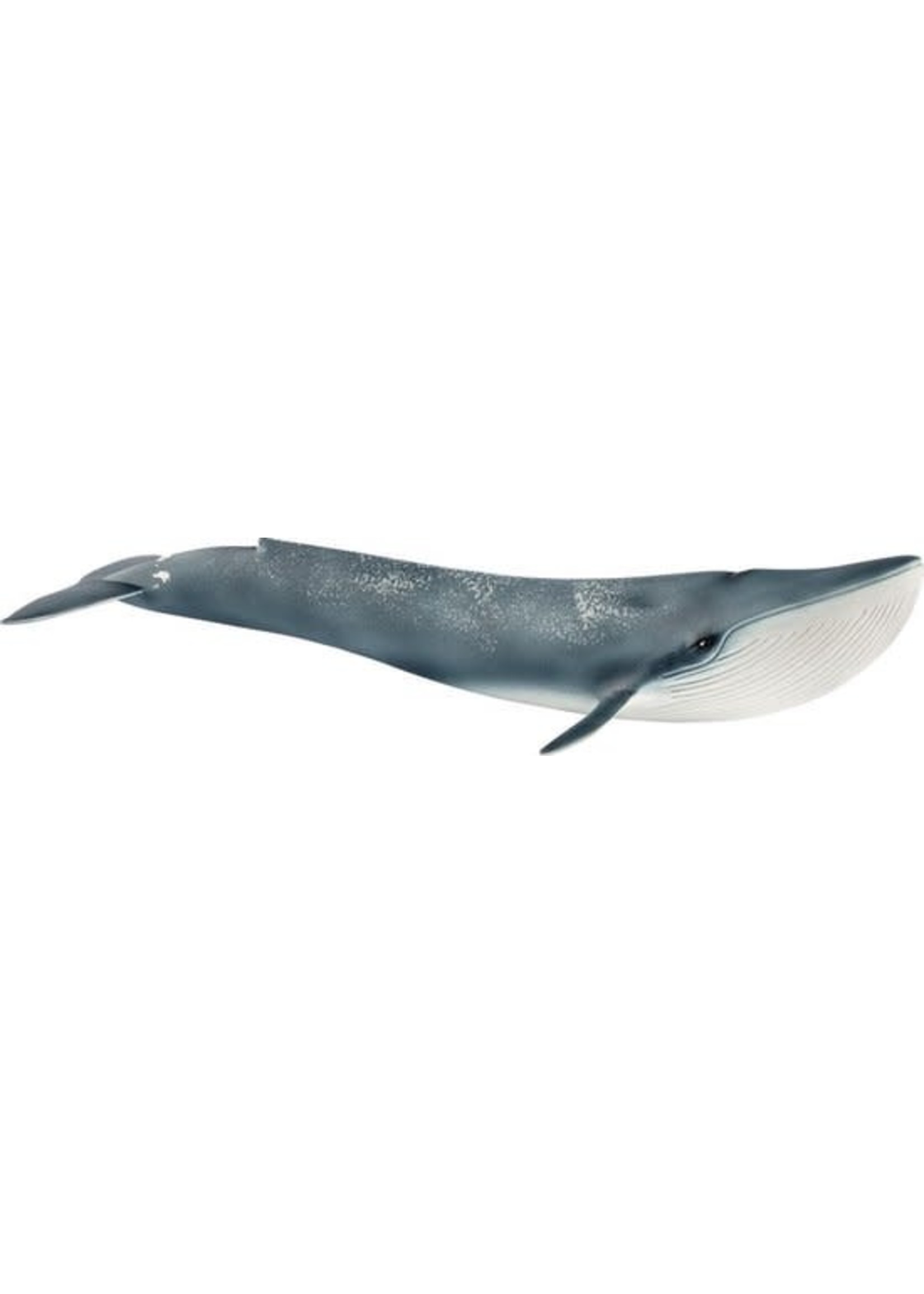 Schleich SCHLEICH 14806 Blauwe walvis