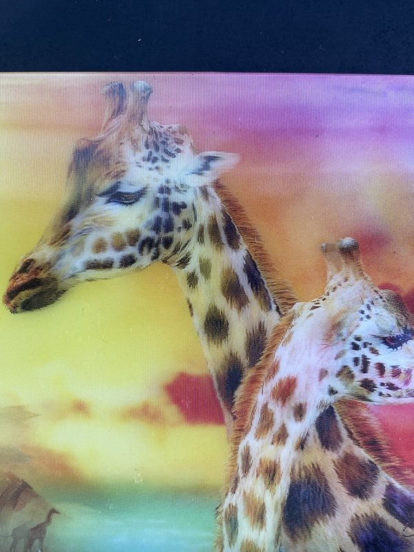 3D Kaart LiveLife  Giraffen ( Wild Generations)