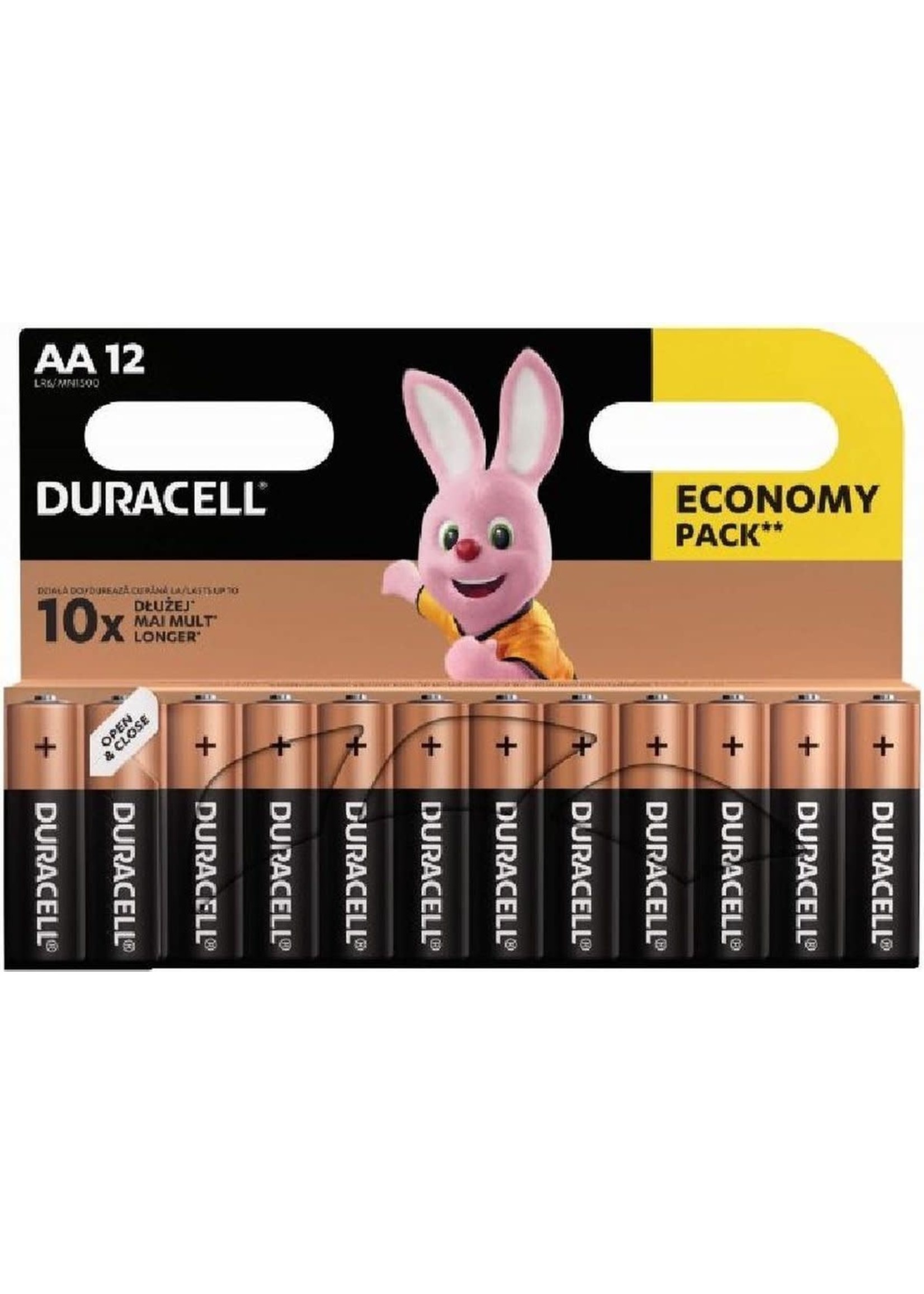 Batterijen Duracell Economy  AA: 12 stuks